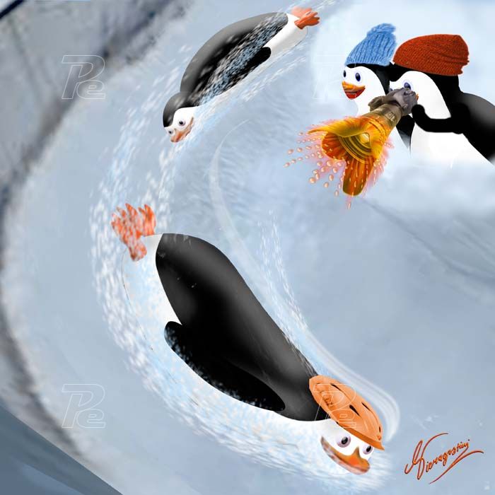 Pinguini fanno bob